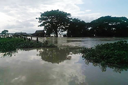 ミャンマー洪水被害4