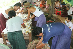 ミャンマー洪水被害11